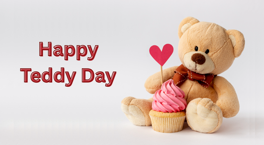 10 February Teddy Day