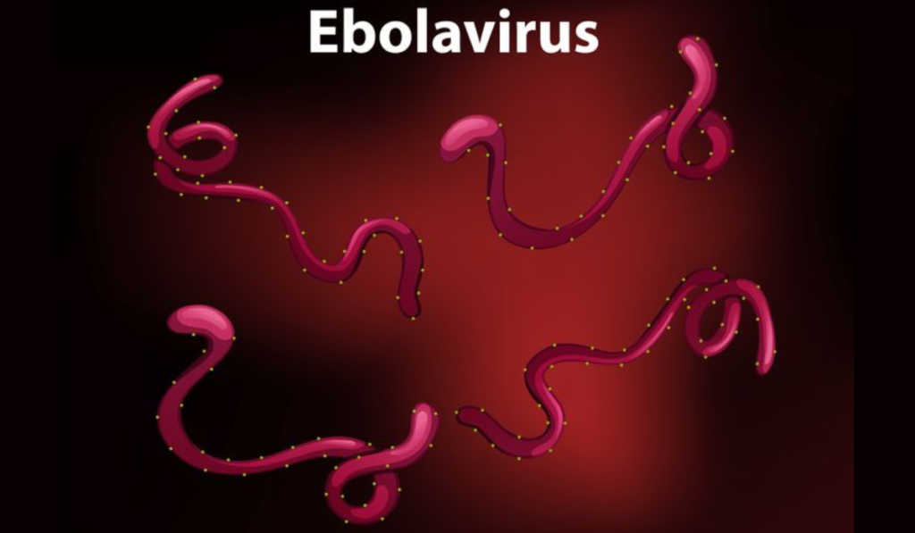 Ebola Virus