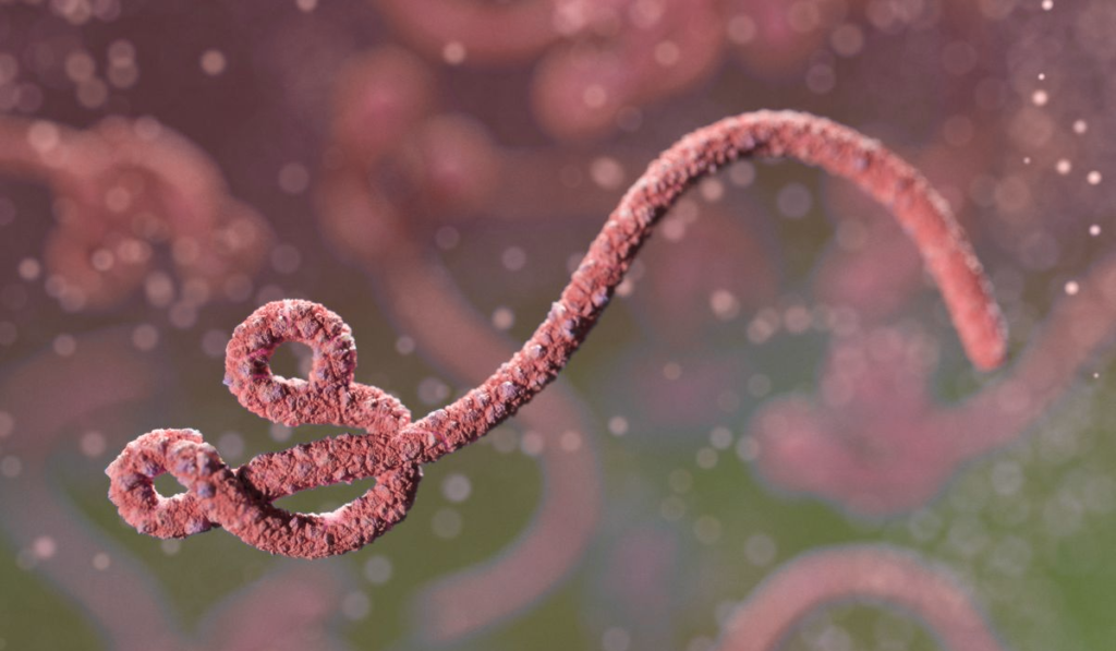 Ebola Virus