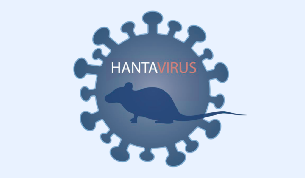 Hantavirus