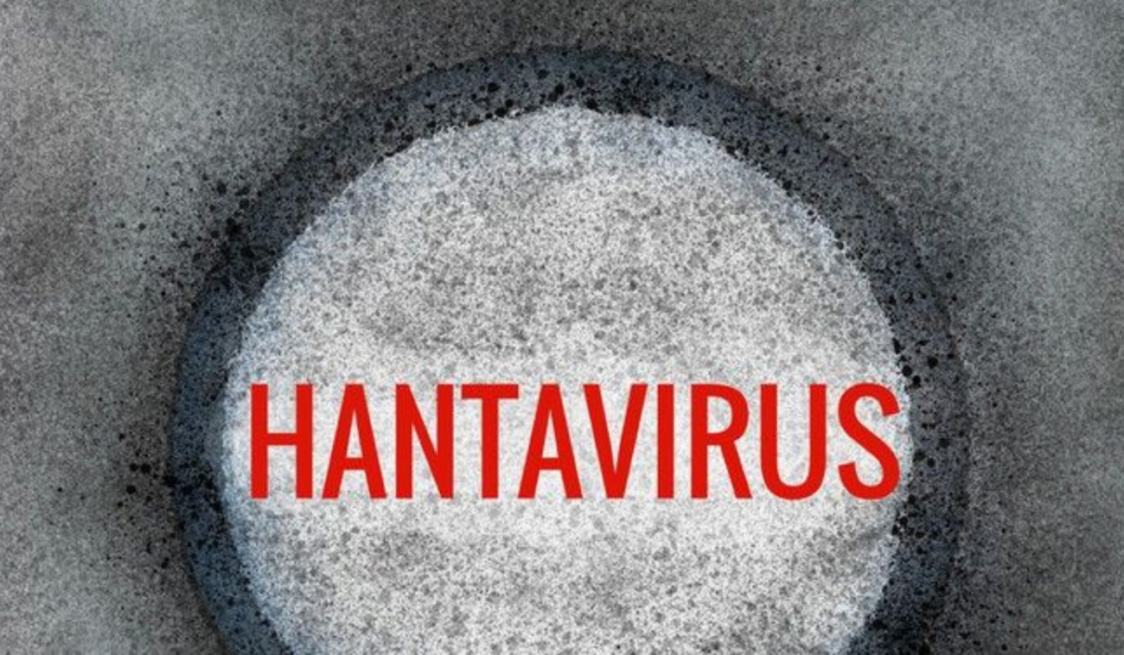 Hantavirus
