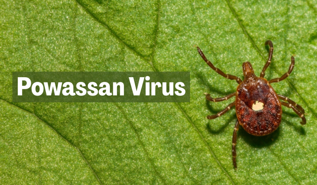 Powassan Virus