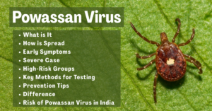Powassan Virus