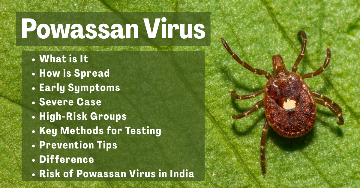 Powassan Virus