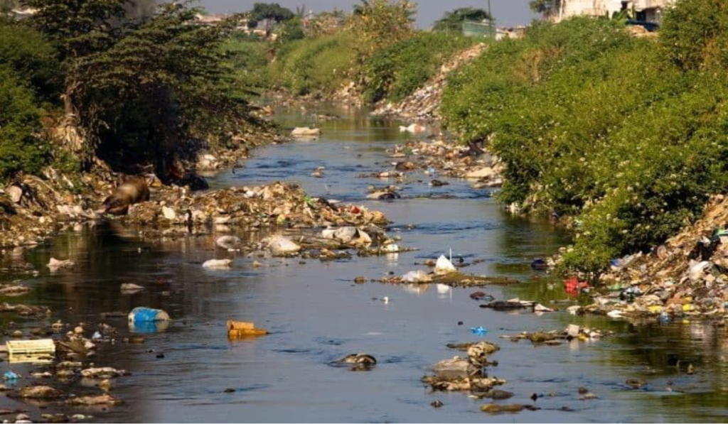 World Environment Day 2026