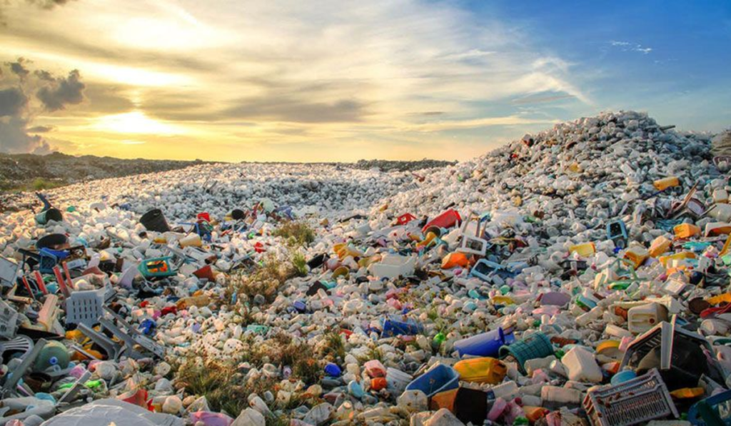 World Environment Day 2026
