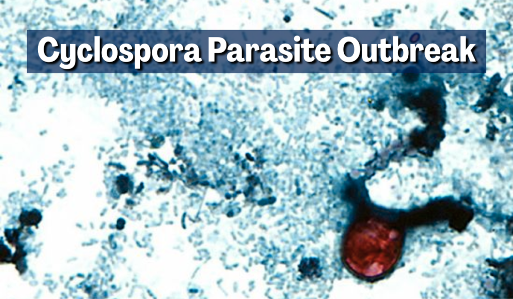 Cyclospora Parasite Outbreak
