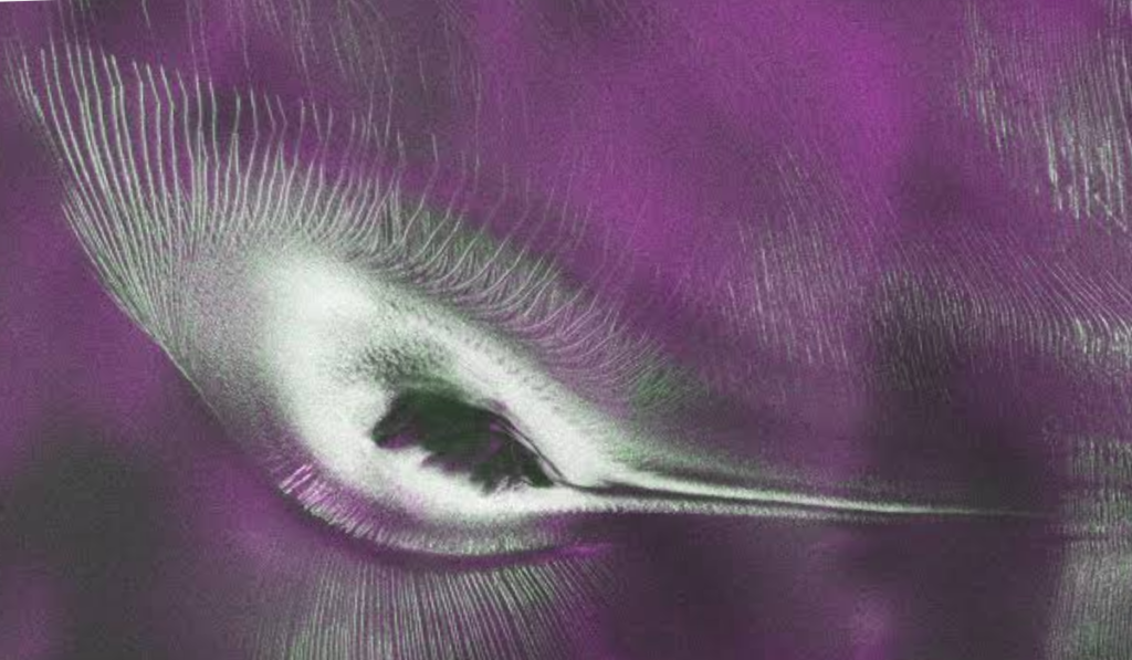 NASA's NISAR Satellite Spots 'Hummingbird' in Antarctica
