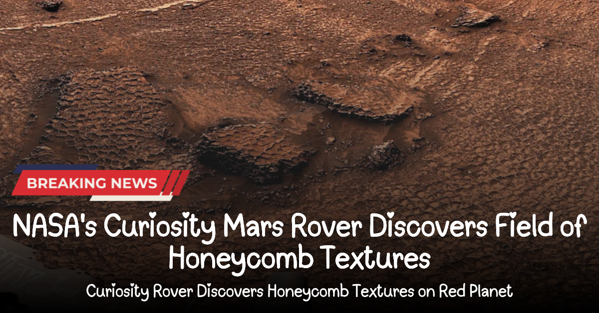NASA's Curiosity Mars Rover Discovers Field of Honeycomb Textures