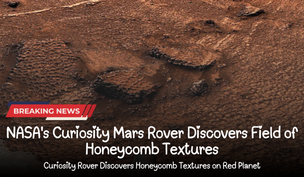 NASA's Curiosity Mars Rover Discovers Field of Honeycomb Textures